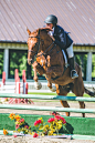 Equestrian Highlights 2016 : Equestrian Highlights