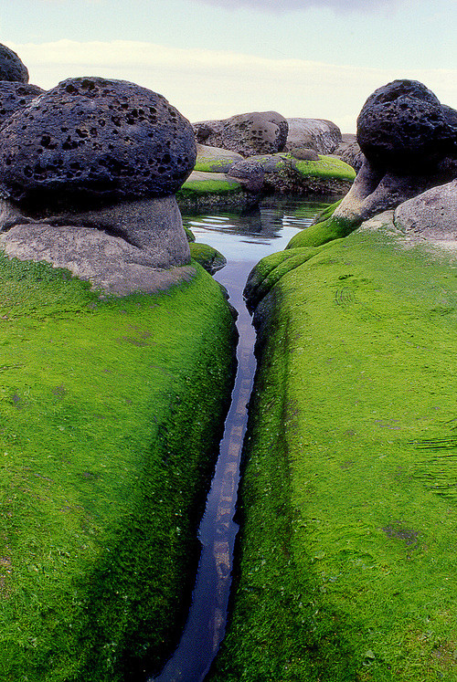 苔藓入口，冰岛