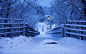 General 1920x1200 winter snow landscape bridge