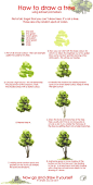 Tree drawing tutorial by ~Morpho-Deidamia on deviantART