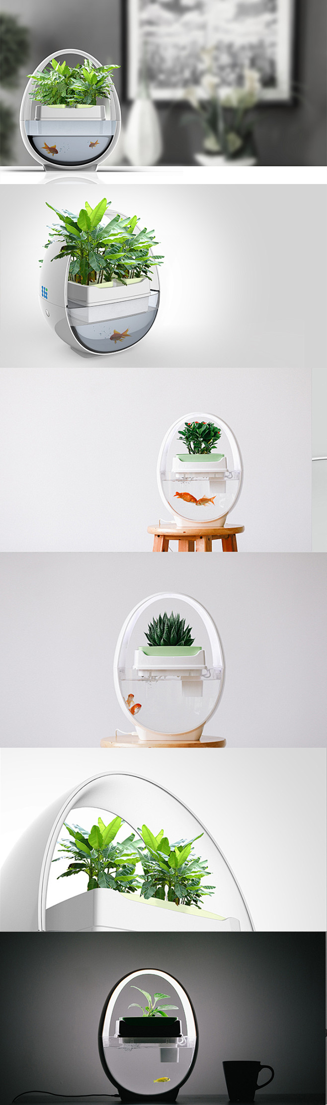 桌面生态鱼缸，本鱼缸旨在通过生态、生物过...