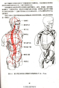 补充一下练习人体的问题，《艺用人体运动学》，很实用的一本书，给大家学习参考。书的下载链接：O【重要】艺用人体结构运动学.pdf