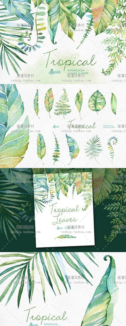 cm290|热带植物棕榈树叶手绘水彩PN...