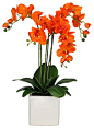 Artificial 3-Stem Phalaenopsis Orchid in White Ceramic Vase, Orange tropical-artificial-plants-and-trees