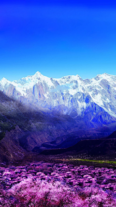 ┍噺徠鏑┑采集到F 风景