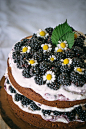 Rustic Hazelnut Blackberry Cake with Mascarpone Cream