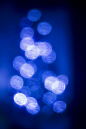 Xmas Tree - Lights | Flickr - Photo Sharing!