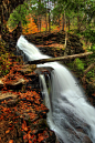 Photograph Autumn Flows by Chase Schiefer on 500px