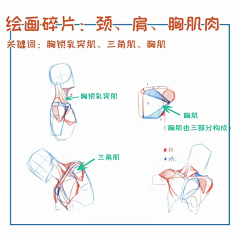 友兮友兮采集到绘画教程