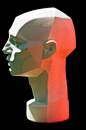 Planes of the Head - Artist's Mannequin Head: 