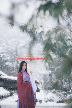 雪若芷兰采集到美人如画（中国风）