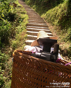 piaohq采集到龙脊梯田-2008夏 桂北, 欣