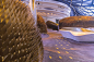 UAP + Zaha Hadid Architects