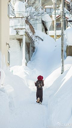 misssg采集到雪