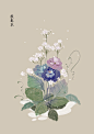 水彩 植物花卉 插画 artistic青尘/绘