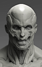 Nihei, Phuc Dang : My Head sculpt piece aimed to practice contrast of soft and hard edges.
Im trying not to polish too much on the hardsurface parts but use contrast to highlight it.
Btw,its somewhat inspired by Tsutomu Nihei's design