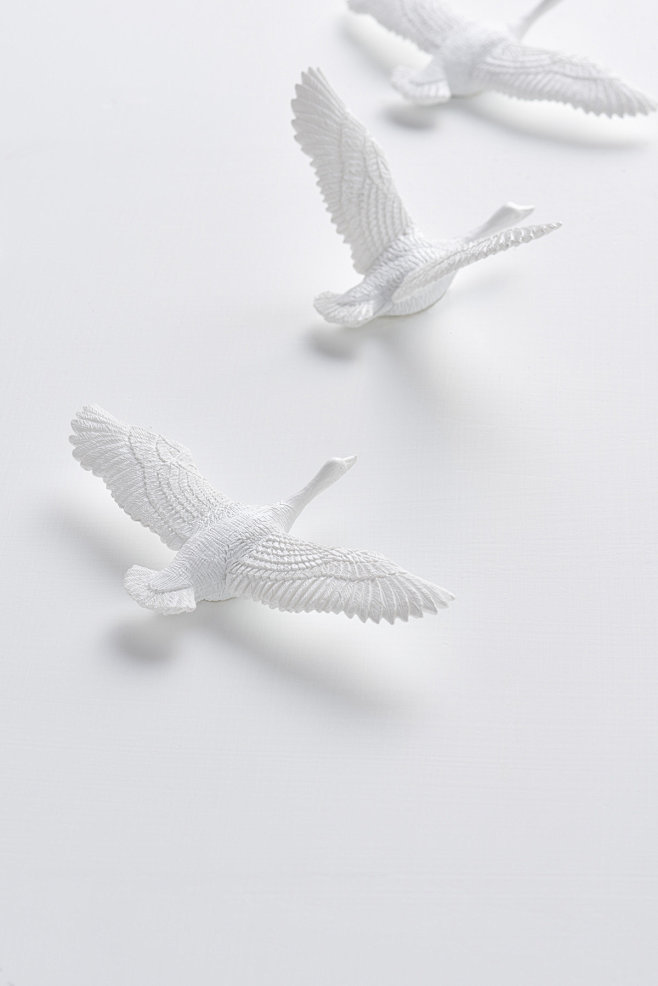 3D背景墙 Migrantbird X ...