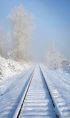 小0是小零呀采集到雪o(╯□╰)o美景