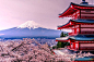 【美图分享】Sotaro Kajihara的作品《Japanese spring. -- Mt.fuji and Cherry tree --》 #500px#