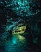 Glow cave nee Zealand: 