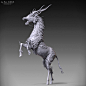 Kirin, Jia Hao : The digital sculpture of my Kirin creature.

https://www.facebook.com/artofjiahao 
https://www.instagram.com/jiahao_art_design/