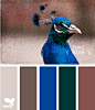 fowl blue