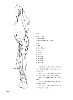 魔法金羊毛采集到【A】体态参考——伯里曼速写