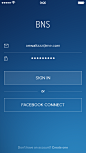 Dribbble - bns_login.png by Alexander Zaytsev