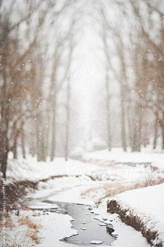 珂居网官网采集到雪