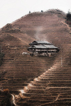 时计采集到风光