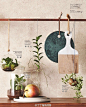 Green House，巧用植物升级家居风格。（#Home & Decor Singapore# July 2016）