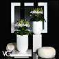 Vegetation Arrangement - #flower #flowers #furniture #furnishings #madeinitaly…