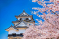 The cherry trees are in full blossom, Japan大阪城