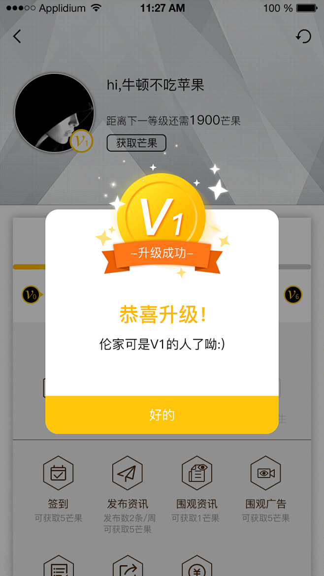 等级特权-V1  UI设计 app界面设...