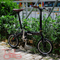 美国大行折叠自行车宝安专卖店-IMG_8482图片-深圳购物-大众点评网