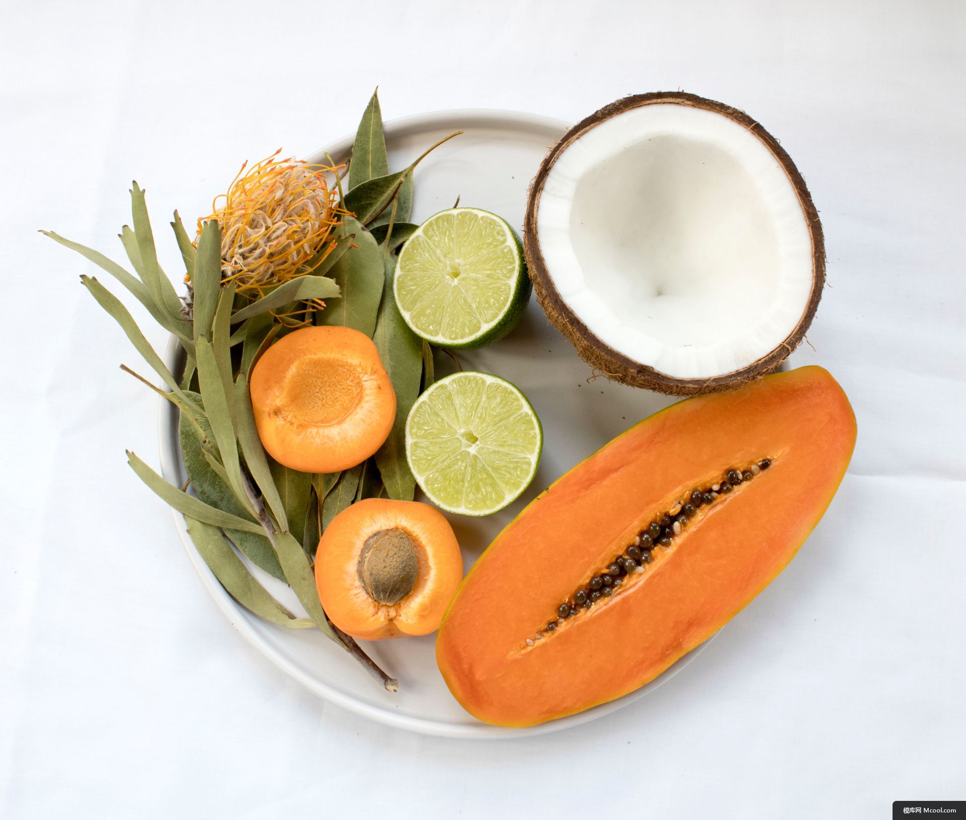 97358c4629654809af2676d6208a3a0bc890741c3adf2-mPhl5P