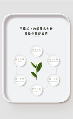 企鹅嘻嘻采集到茶