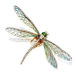 蜻蜓与蝉的翅翼下，有斑斓光影 | 空窗珐琅与昆虫珠宝 ​​​​