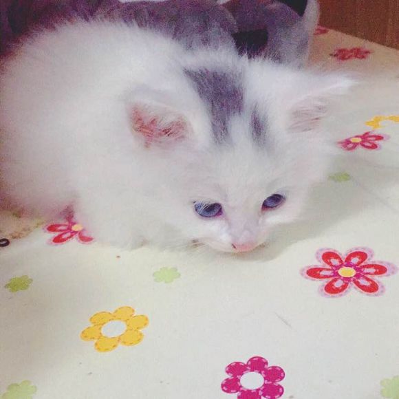 974088bf4c059ef3f790dfe1ab1decefdab4b5ce921b-donR9S