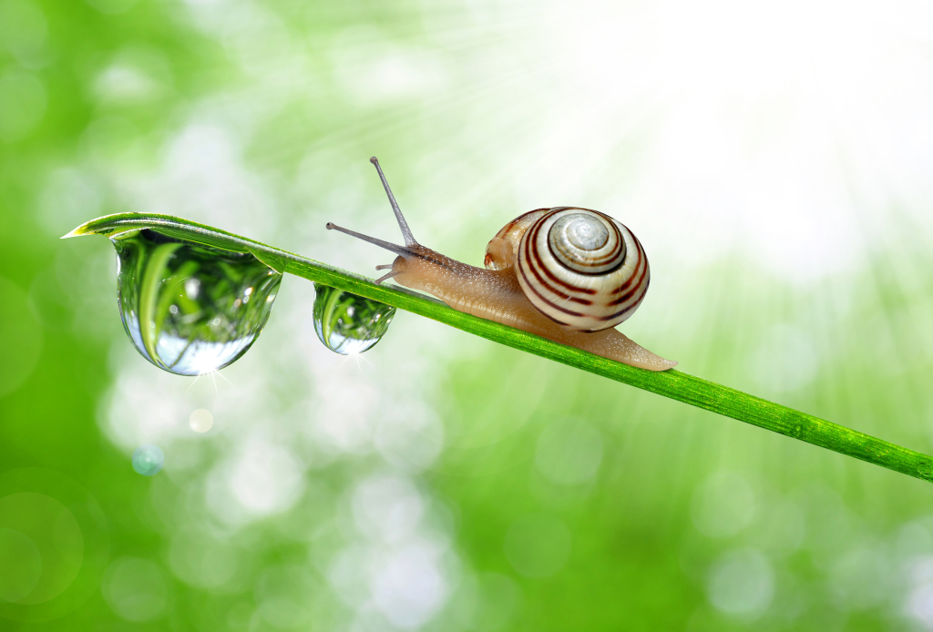 9751aa66aaef4177a7be0a048a99571cecc4759c5bd9c-li3pyb