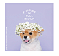 W CONCEPT : W컨셉 - [WHITE BLANK:화이트블랭크] [PIFB] PUPPY POST CARD (PURPLE)