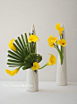 Art Floral Ikebana Mai Van Thai Thomas: