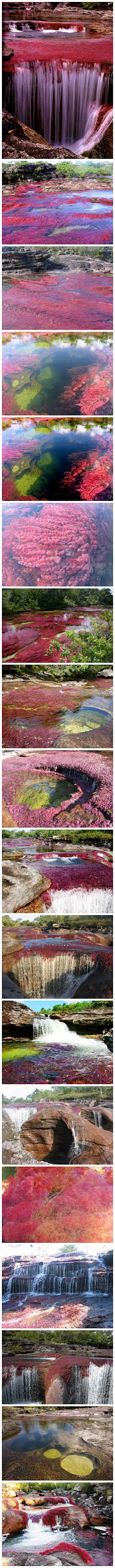 花啾啾采集到旅行