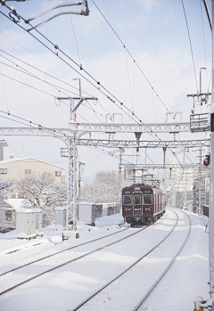 为什么不让我豋采集到那白色的雪啊