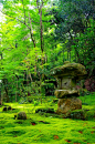 Sanzenin, Kyoto, Japan: Moss Japanese Japan, Sanzenin, Sanzen In Temples, Japanese Gardens, Gardens Moss, Moss Gardens, Japanese Stones Gardens, Japan Gardens, Kyoto Japan