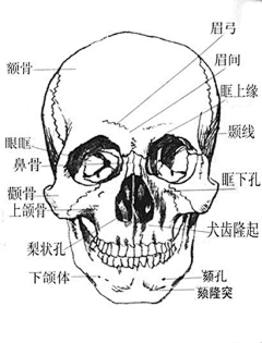 出门必备的干粮采集到恶魔