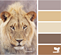 lion tones