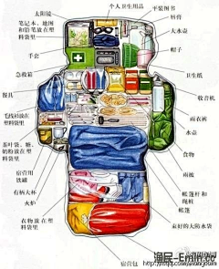 曾伊莎采集到科普_生活百科