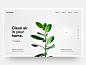 Botanical home landing video plants webdesign design ui