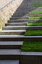 grass stairs